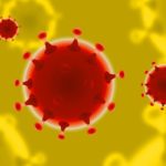 Coronavirusurile și imunitatea încrucișată