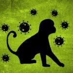 Sinopsis despre variola maimuței