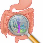 Testarea microbiomului intestinal